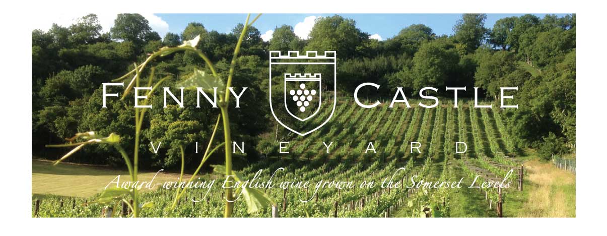 Fenny Castle Vineyard
