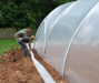 polytunnel
